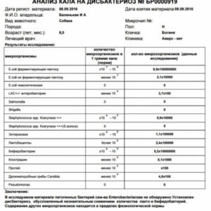 Анализ кала на дисбактериоз фото