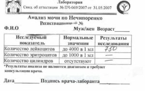 справка Анализ мочи по Нечипоренко 215/у фото