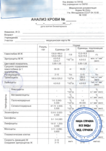 справка общий анализ крови 224у фото